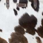 Leffis/WT Brown - Image 5