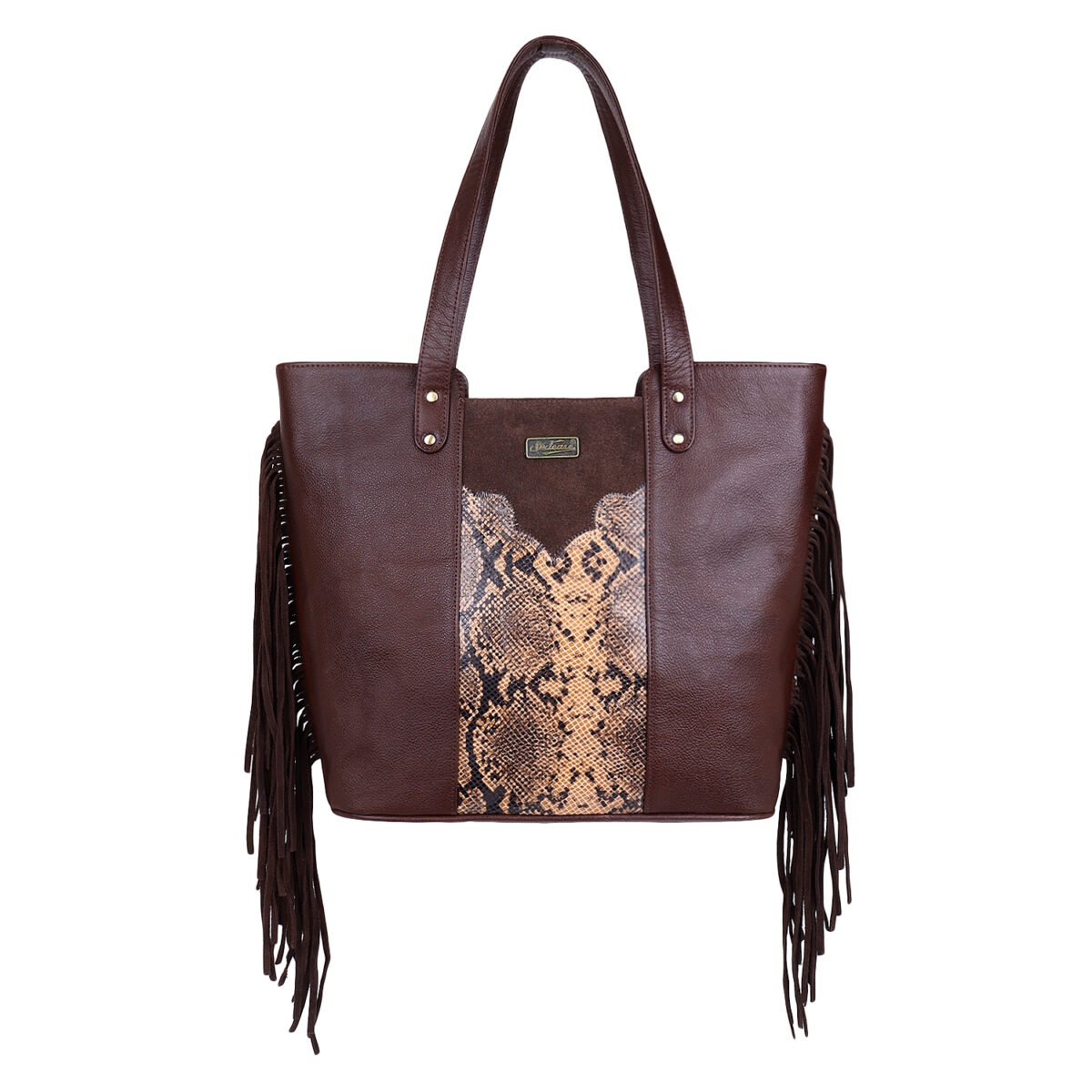 The Python Panache - Image 1