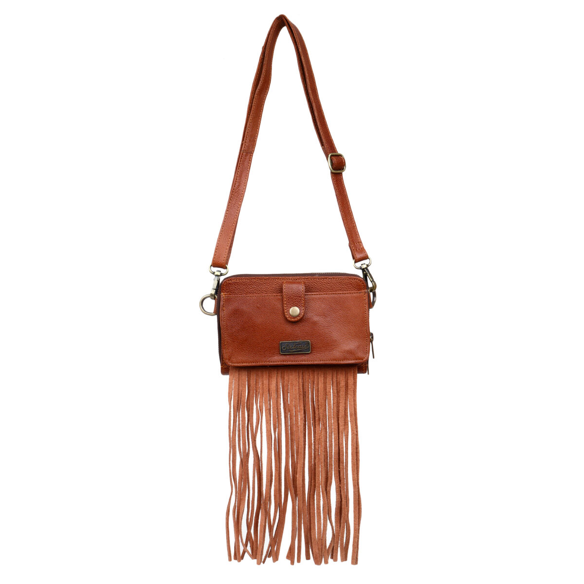 The Urban Oasis - Image 2