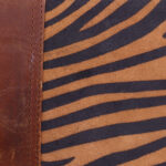 Feline Fantasy - Image 3